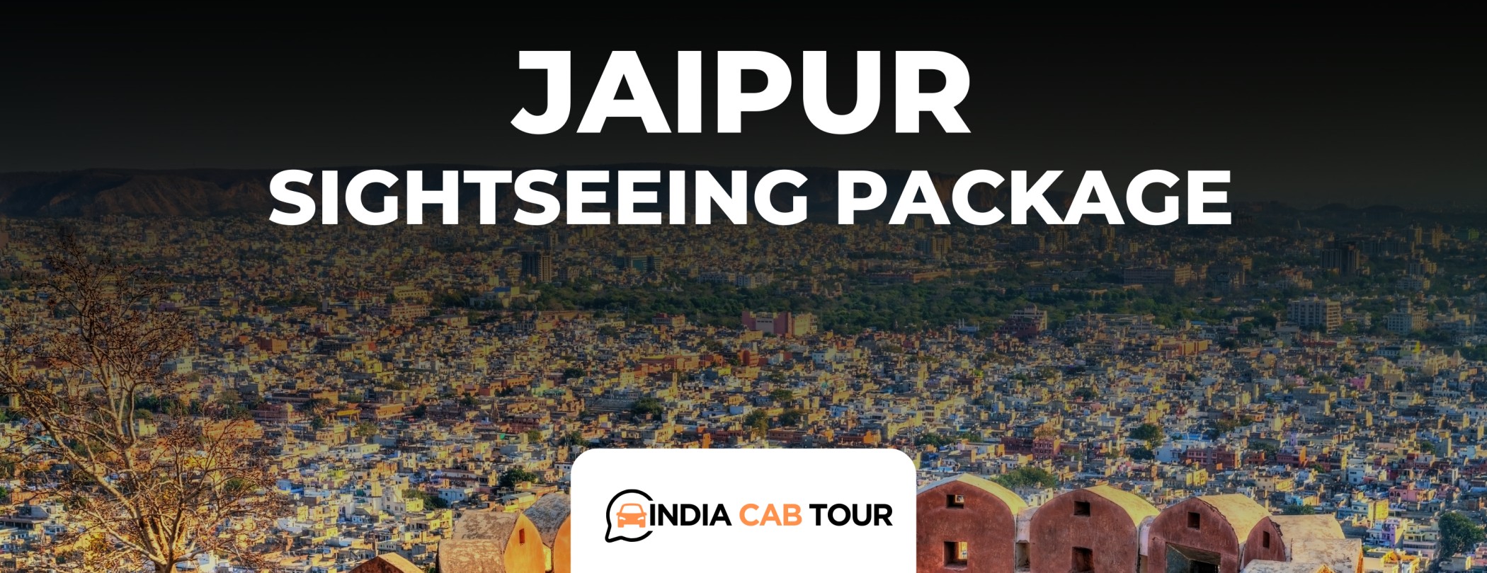 Jaipur Sightseeing Package